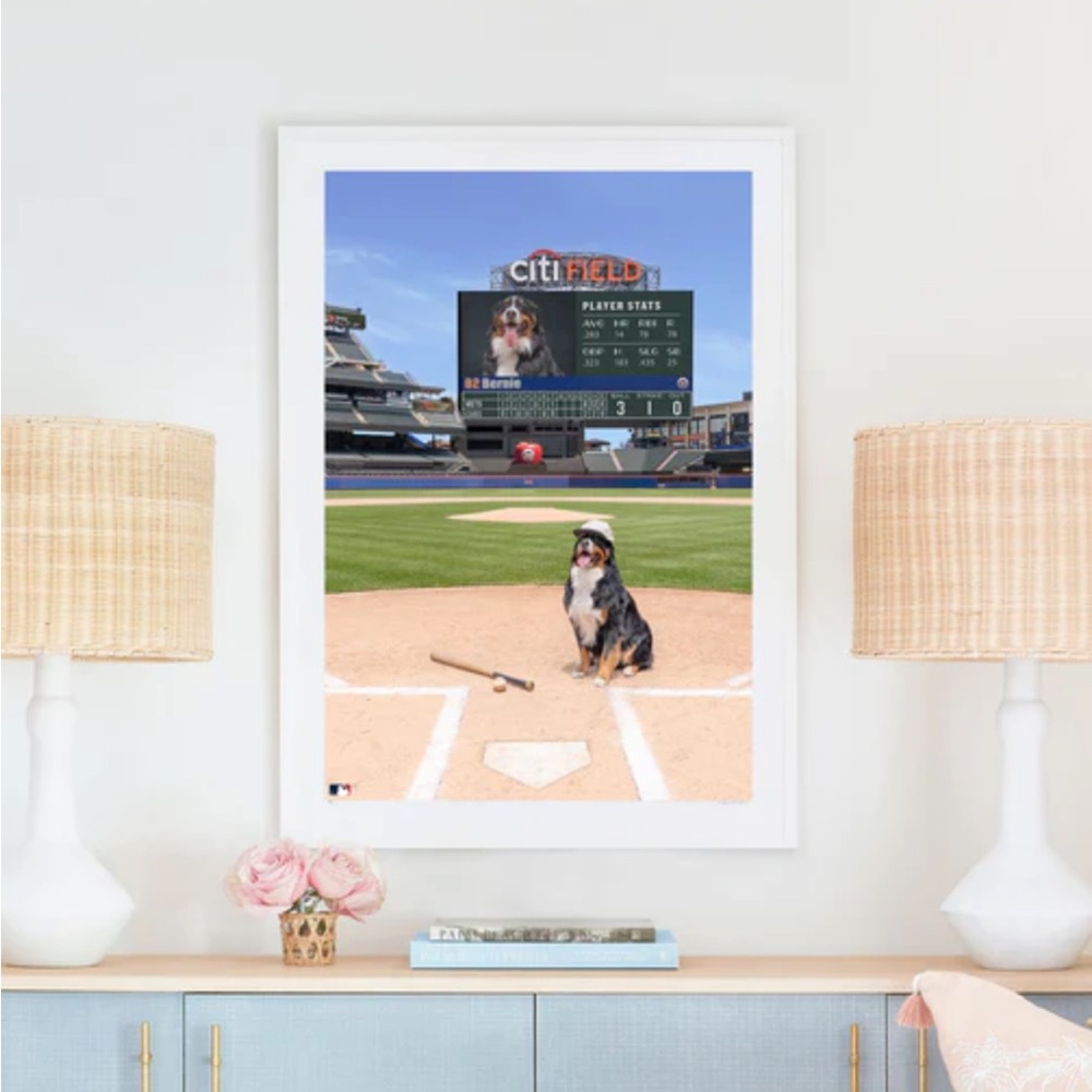 Gray Malin Dogs of Baseball ~ The Center Fielder Large Print ~ Bernese METS⚾️